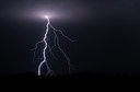 BUITEN BEELD Foto: 279998