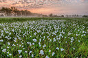 BUITEN BEELD Foto: 280037