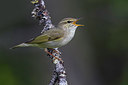 BUITEN BEELD Foto: 280078