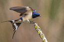 BUITEN BEELD Foto: 280086