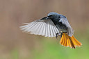 BUITEN BEELD Foto: 280102