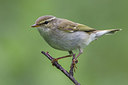 BUITEN BEELD Foto: 280109