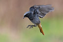 BUITEN BEELD Foto: 280135