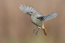 BUITEN BEELD Foto: 280164