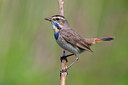 BUITEN BEELD Foto: 280178