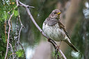 BUITEN BEELD Foto: 280189