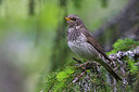 BUITEN BEELD Foto: 280199