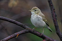 BUITEN BEELD Foto: 280212