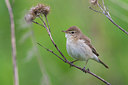 BUITEN BEELD Foto: 280217