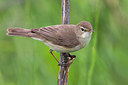 BUITEN BEELD Foto: 280222