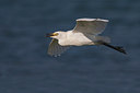 BUITEN BEELD Foto: 280235
