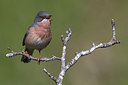 BUITEN BEELD Foto: 280320