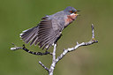BUITEN BEELD Foto: 280321