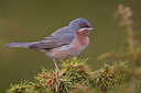 BUITEN BEELD Foto: 280325