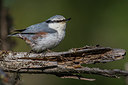 BUITEN BEELD Foto: 280337