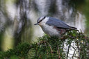 BUITEN BEELD Foto: 280339