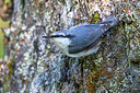 BUITEN BEELD Foto: 280340