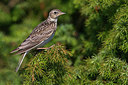 BUITEN BEELD Foto: 280349