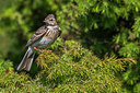 BUITEN BEELD Foto: 280352