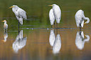 BUITEN BEELD Foto: 280401