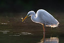 BUITEN BEELD Foto: 280408