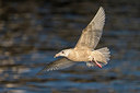 BUITEN BEELD Foto: 280449