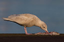 BUITEN BEELD Foto: 280467
