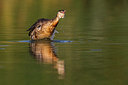 BUITEN BEELD Foto: 280498