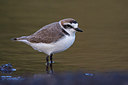 BUITEN BEELD Foto: 280578