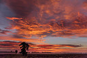 BUITEN BEELD Foto: 280598