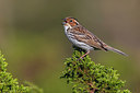 BUITEN BEELD Foto: 280679