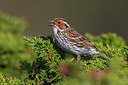 BUITEN BEELD Foto: 280683