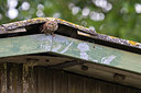 BUITEN BEELD Foto: 280690