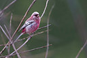 BUITEN BEELD Foto: 280696
