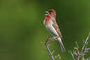 BUITEN BEELD Foto: 280780