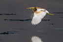 BUITEN BEELD Foto: 280826