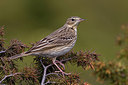 BUITEN BEELD Foto: 280840