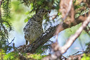BUITEN BEELD Foto: 280849