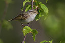 BUITEN BEELD Foto: 280885