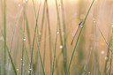 BUITEN BEELD Foto: 280893