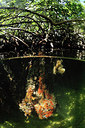 BUITEN BEELD Foto: 280994