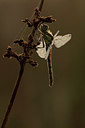 BUITEN BEELD Foto: 280998