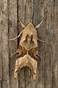 BUITEN BEELD Foto: 281057
