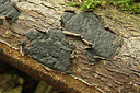 BUITEN BEELD Foto: 281066