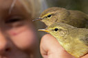 BUITEN BEELD Foto: 281094