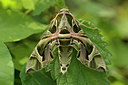 BUITEN BEELD Foto: 281202