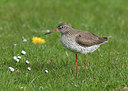 BUITEN BEELD Foto: 281226