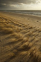 BUITEN BEELD Foto: 281263