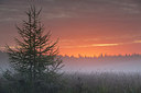BUITEN BEELD Foto: 281280