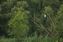 BUITEN BEELD Foto: 281283